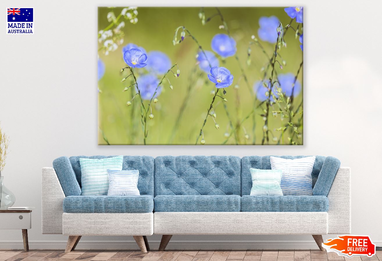 Field With Blue Flax Flowers Photograph Print 100% Australian Made