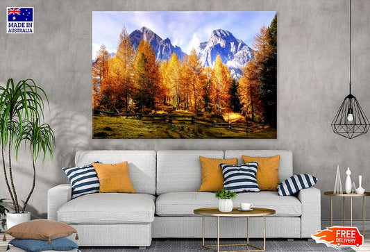 Autumn Trees & Mountains Scenery Photograph Print 100% Australian Made
