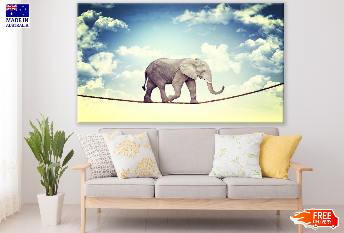 Elephant Walking on A WIre Photograph Print 100% Australian Made