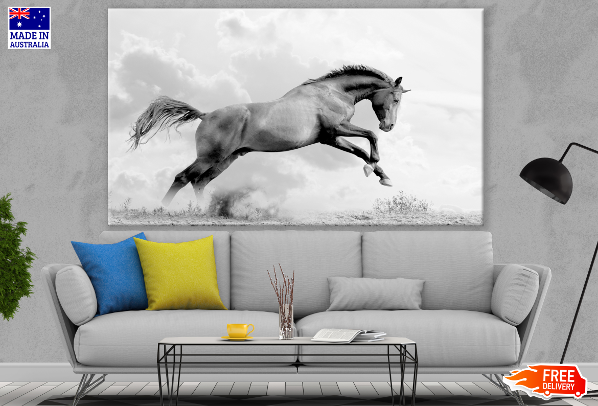 Horse Running B&W Photograph Print 100% Australian Made