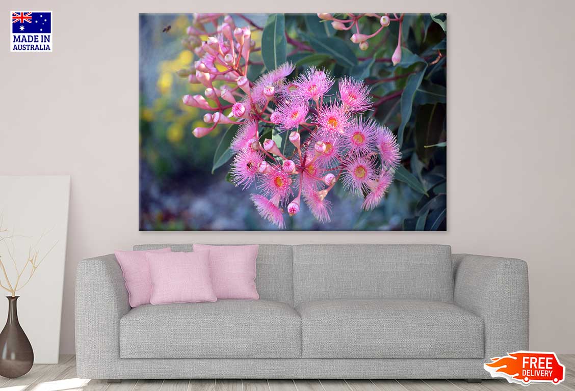 Pink Blossom & Gum Nuts View Photograph Print 100% Australian Made
