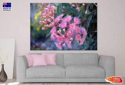 Pink Blossom & Gum Nuts View Photograph Print 100% Australian Made