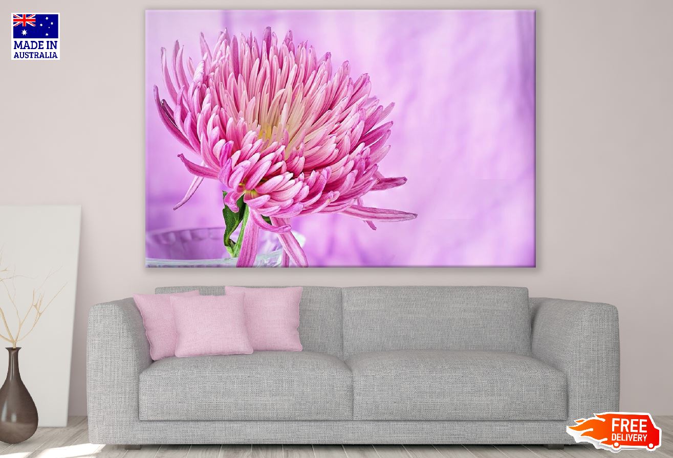 Pink Chrysanthemum Flower Closeup Photograph Print 100% Australian Made