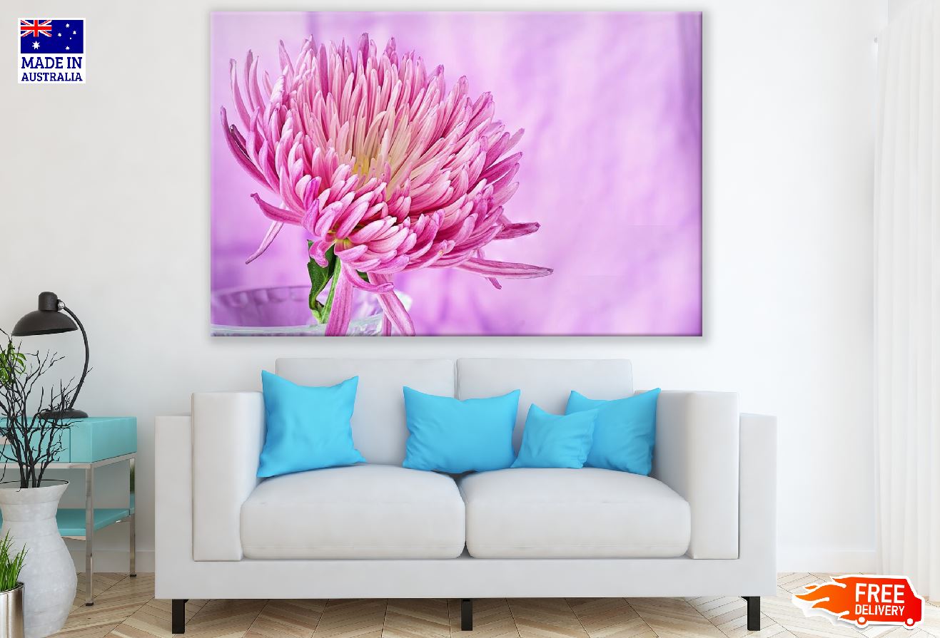 Pink Chrysanthemum Flower Closeup Photograph Print 100% Australian Made