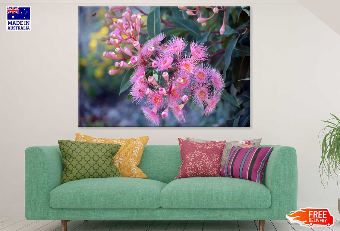 Pink Blossom & Gum Nuts View Photograph Print 100% Australian Made