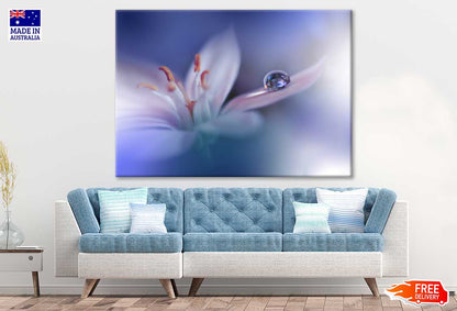 Water Drop on White Flower View Photograph Print 100% Australian Made