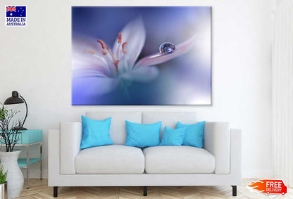 Water Drop on White Flower View Photograph Print 100% Australian Made