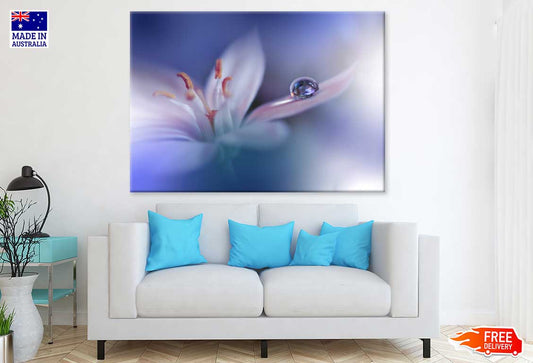 Water Drop on White Flower View Photograph Print 100% Australian Made