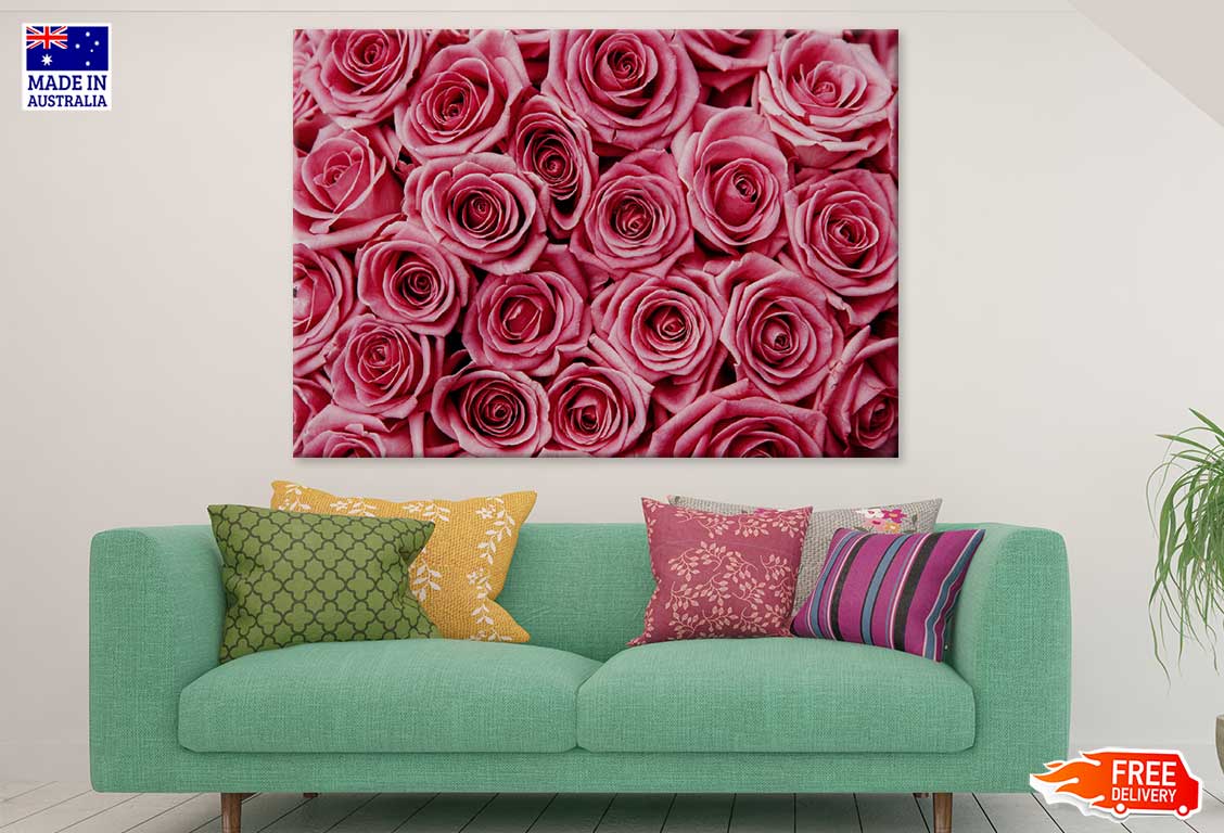 Pink Roses Flower Closeup View Photograph Print 100% Australian Made