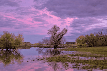 Autumn Trees Landscape with Lake Photograph Print 100% Australian Made