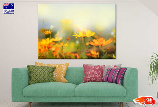 Yellow Wild Flower Filed View Photograph Print 100% Australian Made