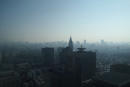 Tokyo Tower & Cityscape view Photograph Print 100% Australian Made