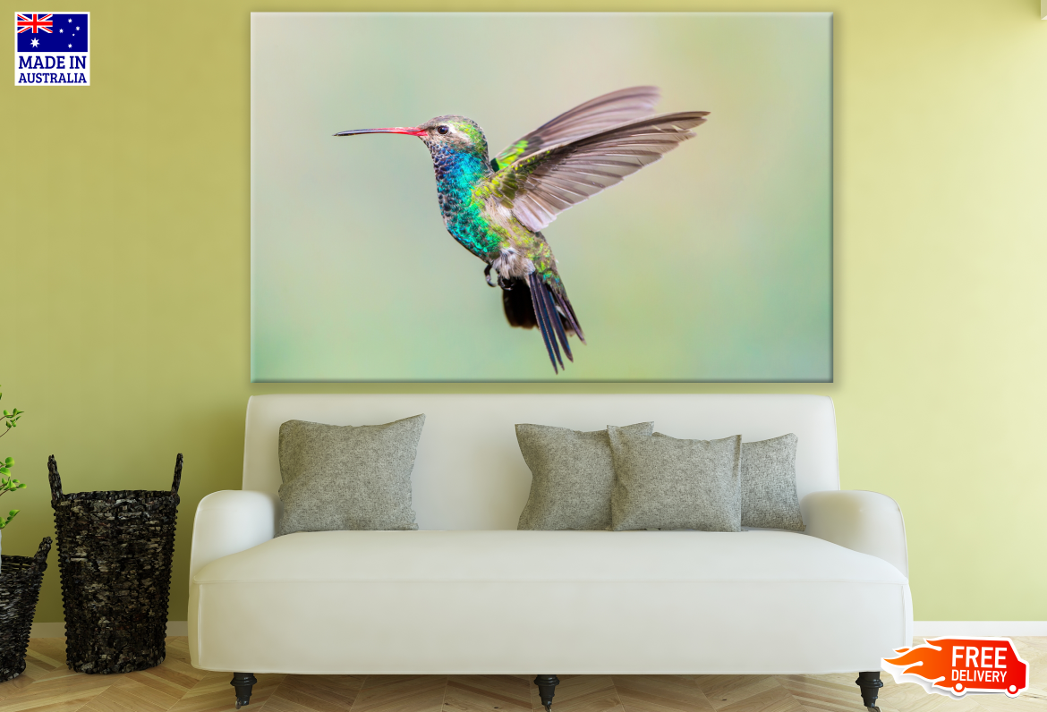 Humming Bird Flying Photograph Print 100% Australian Made