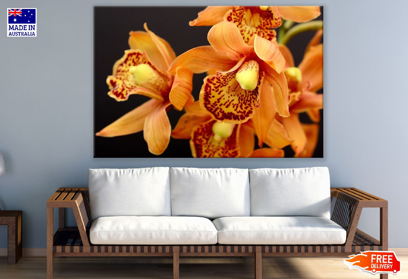 Orange Orchid Flowers Closeup Photograph Print 100% Australian Made