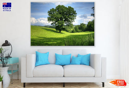 Green Tree on Grass Field Photograph Print 100% Australian Made