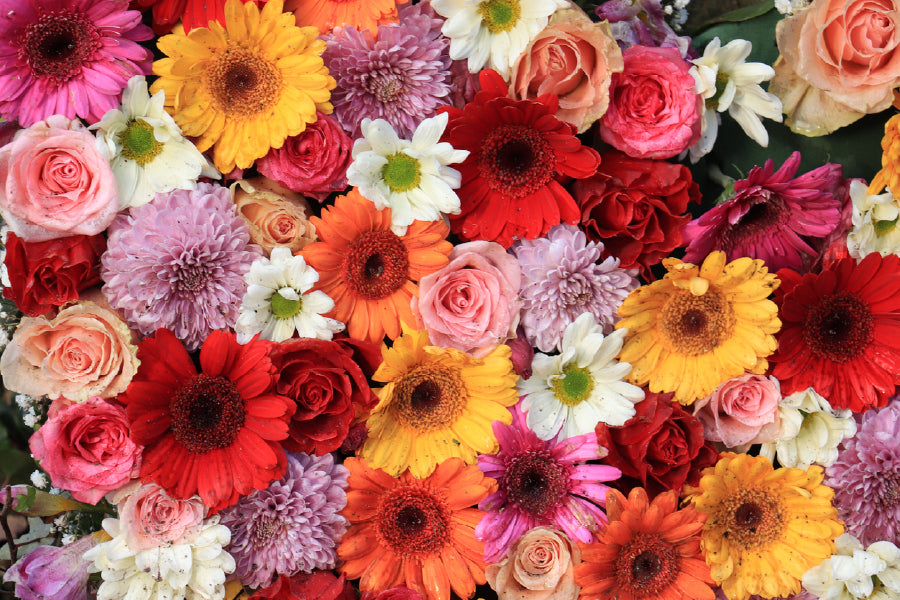 Colorful Flowers Closeup View Photograph Print 100% Australian Made