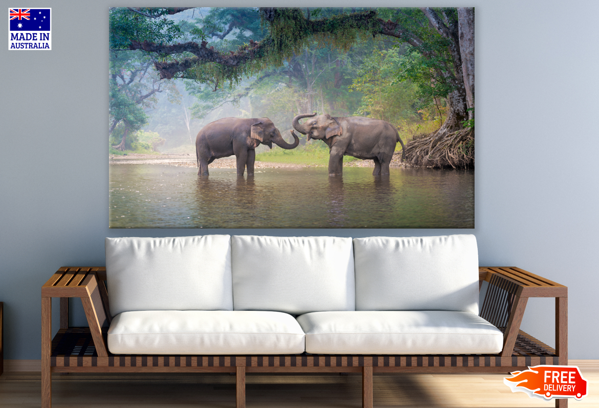 Elephants in Water Photograph Print 100% Australian Made