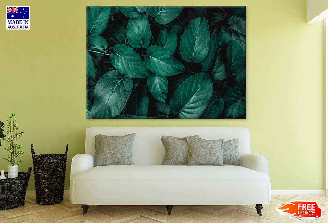Dark Green Leaves Closeup View Photograph Print 100% Australian Made