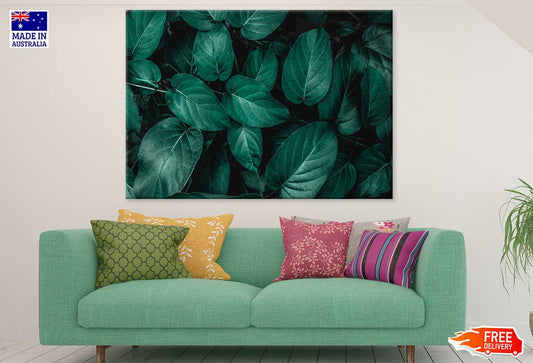 Dark Green Leaves Closeup View Photograph Print 100% Australian Made