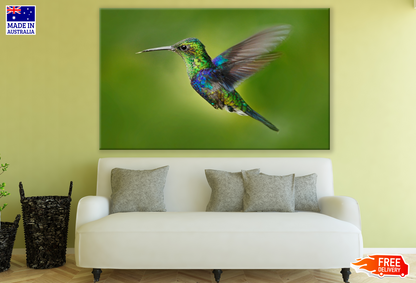 Flying Humming Bird Photograph 100% Australian Made