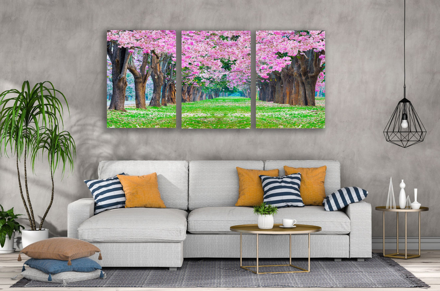 3 Set of Blossom Tree Park Photograph High Quality Print 100% Australian Made Wall Canvas Ready to Hang