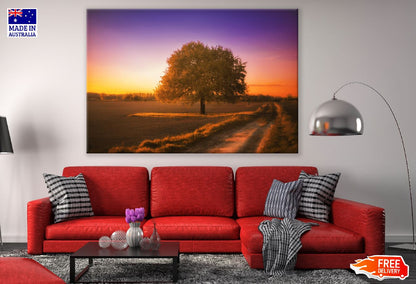 Maple Tree Autumn Sunset Photograph Print 100% Australian Made