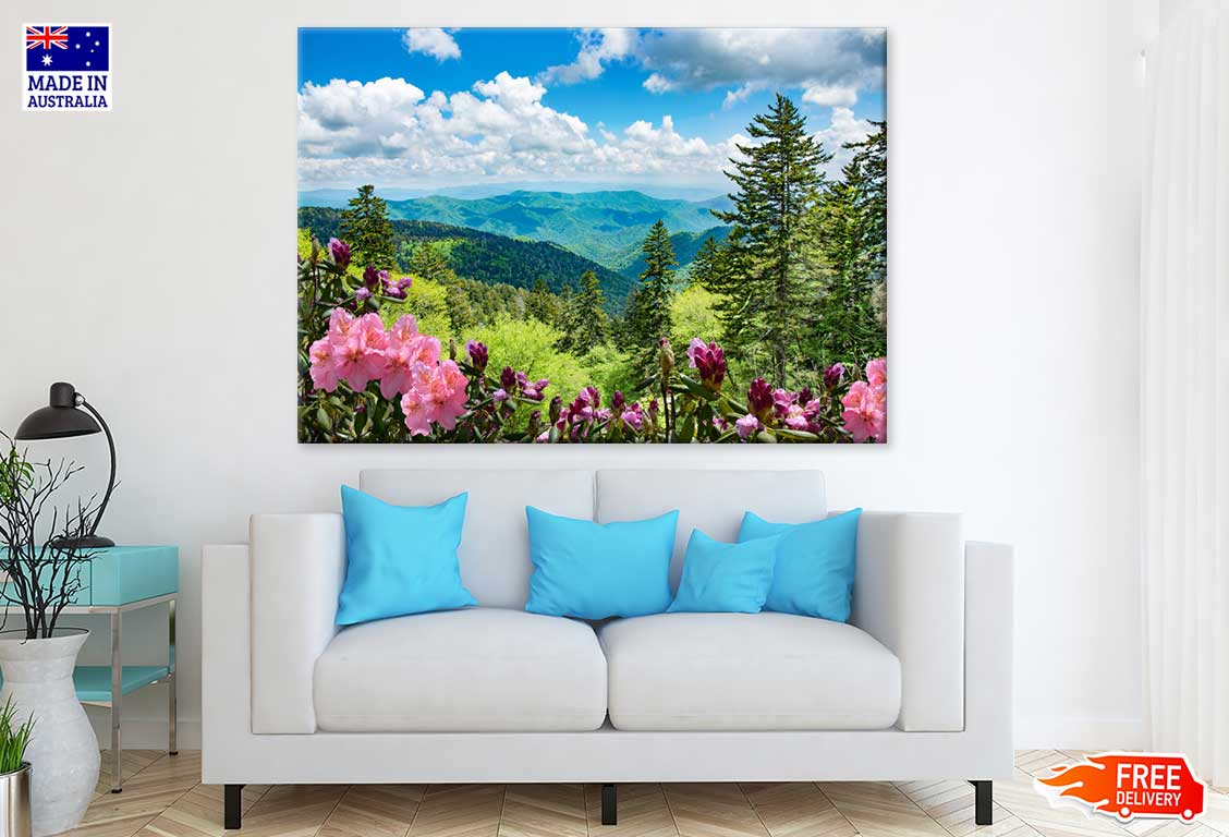 Flowers & Plants near Mountain View Photograph Print 100% Australian Made