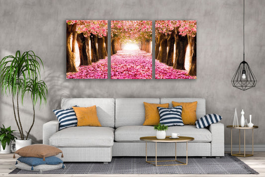 3 Set of Blossom Tree Park Photograph High Quality Print 100% Australian Made Wall Canvas Ready to Hang