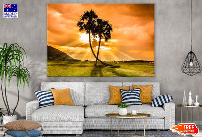 Toddy Palm Trees Sunset Photograph Print 100% Australian Made