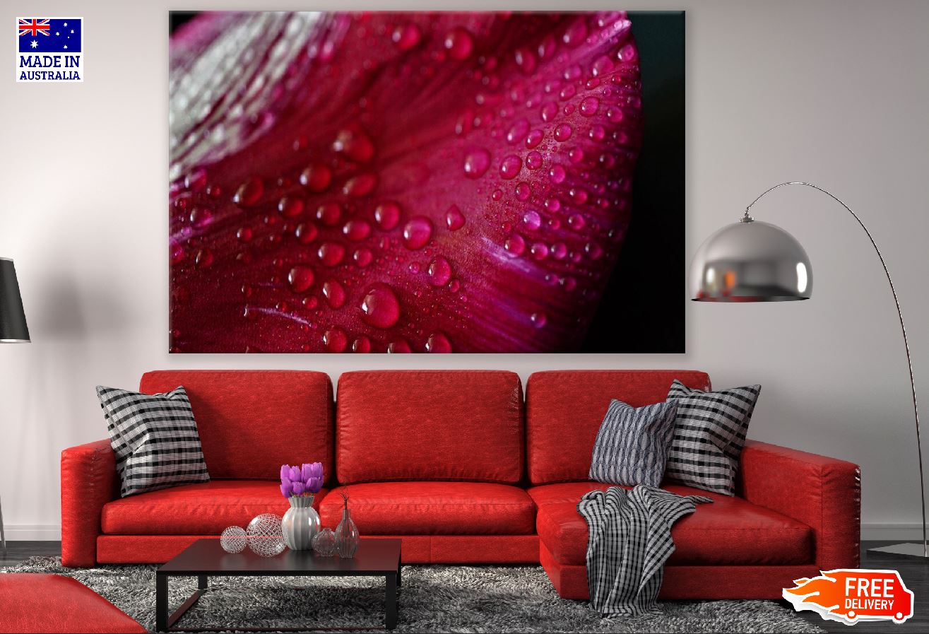 Red Flower Petal with Water Droplet Photograph Print 100% Australian Made