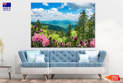 Flowers & Plants near Mountain View Photograph Print 100% Australian Made