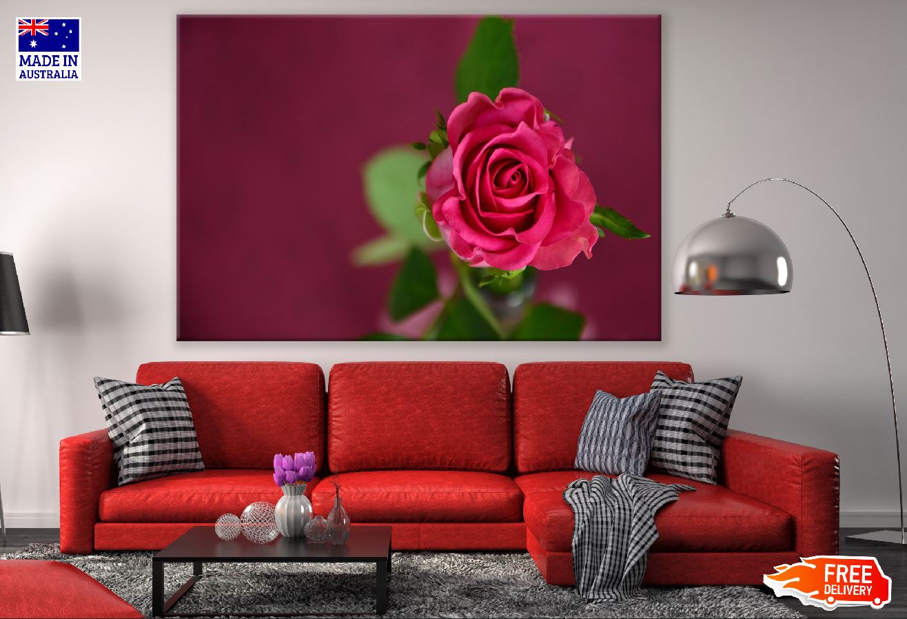 Isolate Red Rose Flower Photograph Print 100% Australian Made
