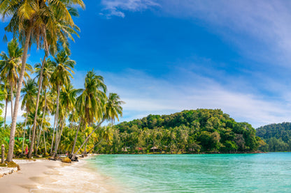 Sandy Beach & Palm Tree Blue Sky View Photograph Print 100% Australian Made