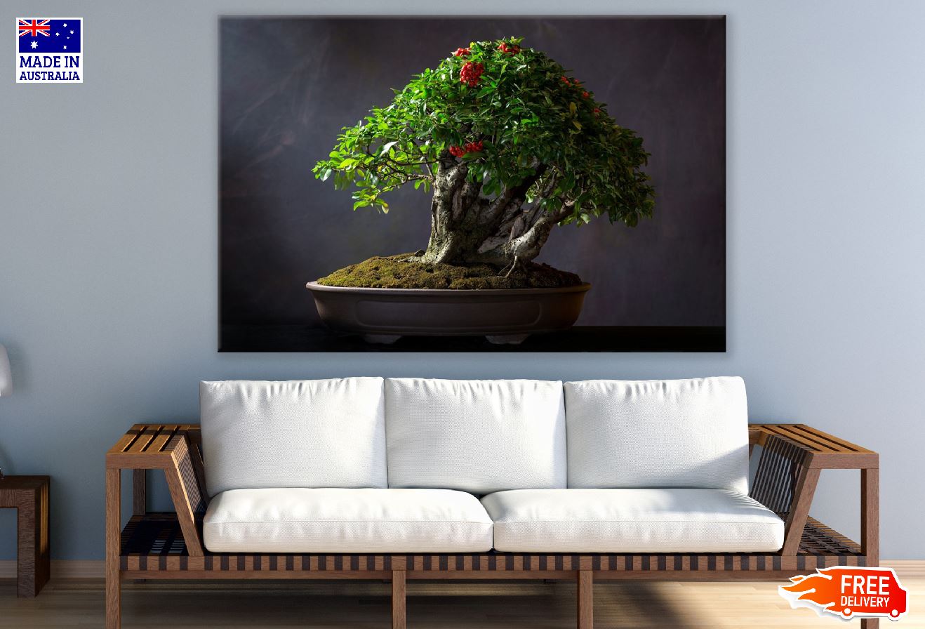 Style Bonsai Tree Photograph Print 100% Australian Made