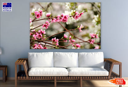 Flowering Trees View Photograph Print 100% Australian Made