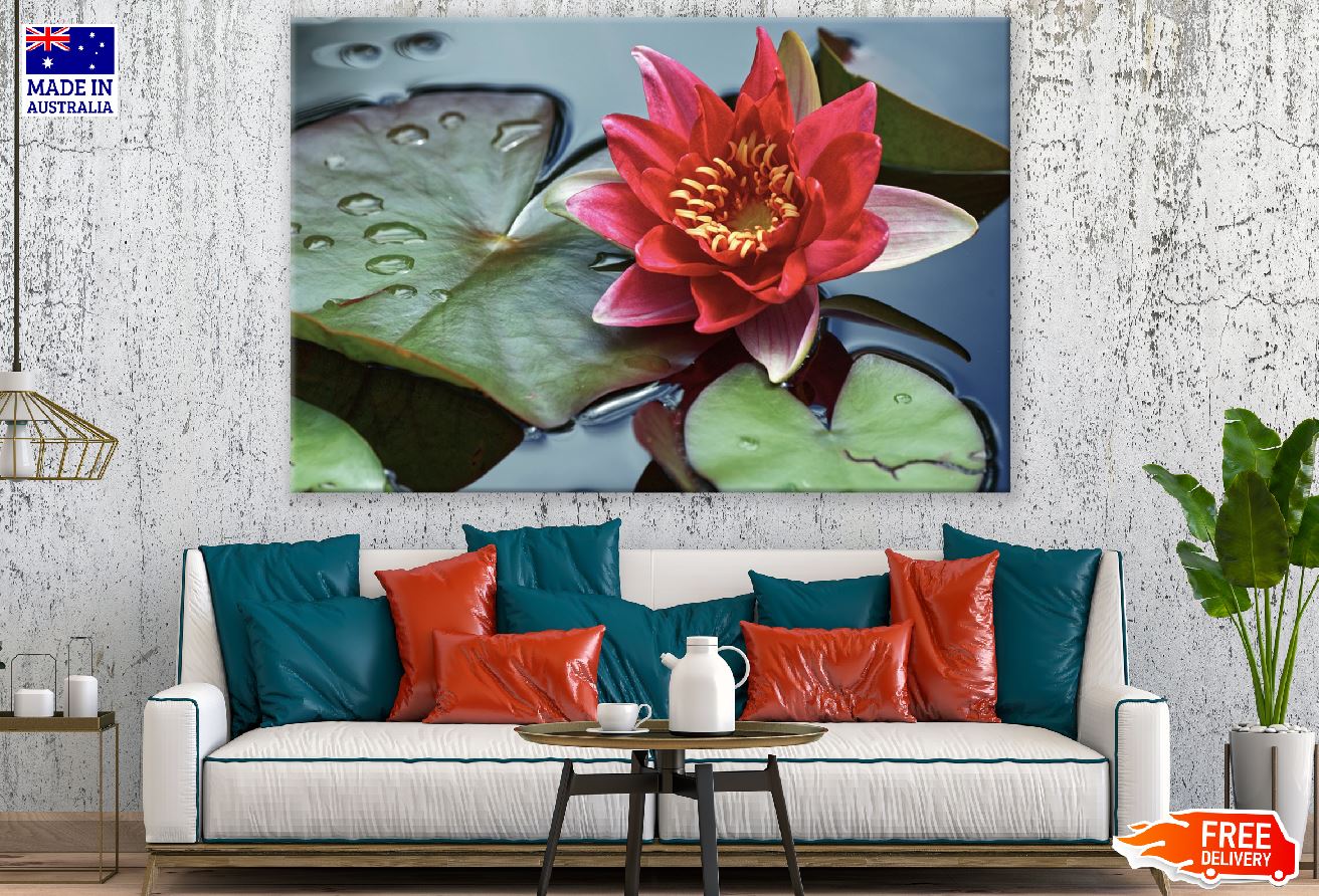 Pink Lotus Flower with Leaves Closeup Photograph Print 100% Australian Made