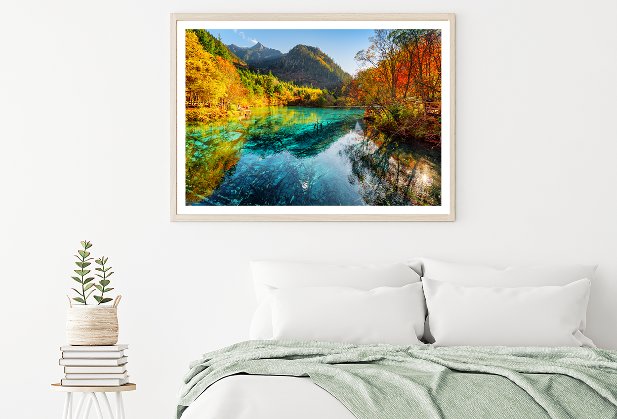 Autumn Trees & River View Photograph Home Decor Premium Quality Poster Print Choose Your Sizes