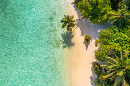 Aerial Top View Sand Palm Beach Photograph Home Decor Premium Quality Poster Print Choose Your Sizes