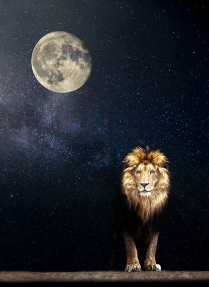 Lion & Moon Scenery Photograph Home Decor Premium Quality Poster Print Choose Your Sizes