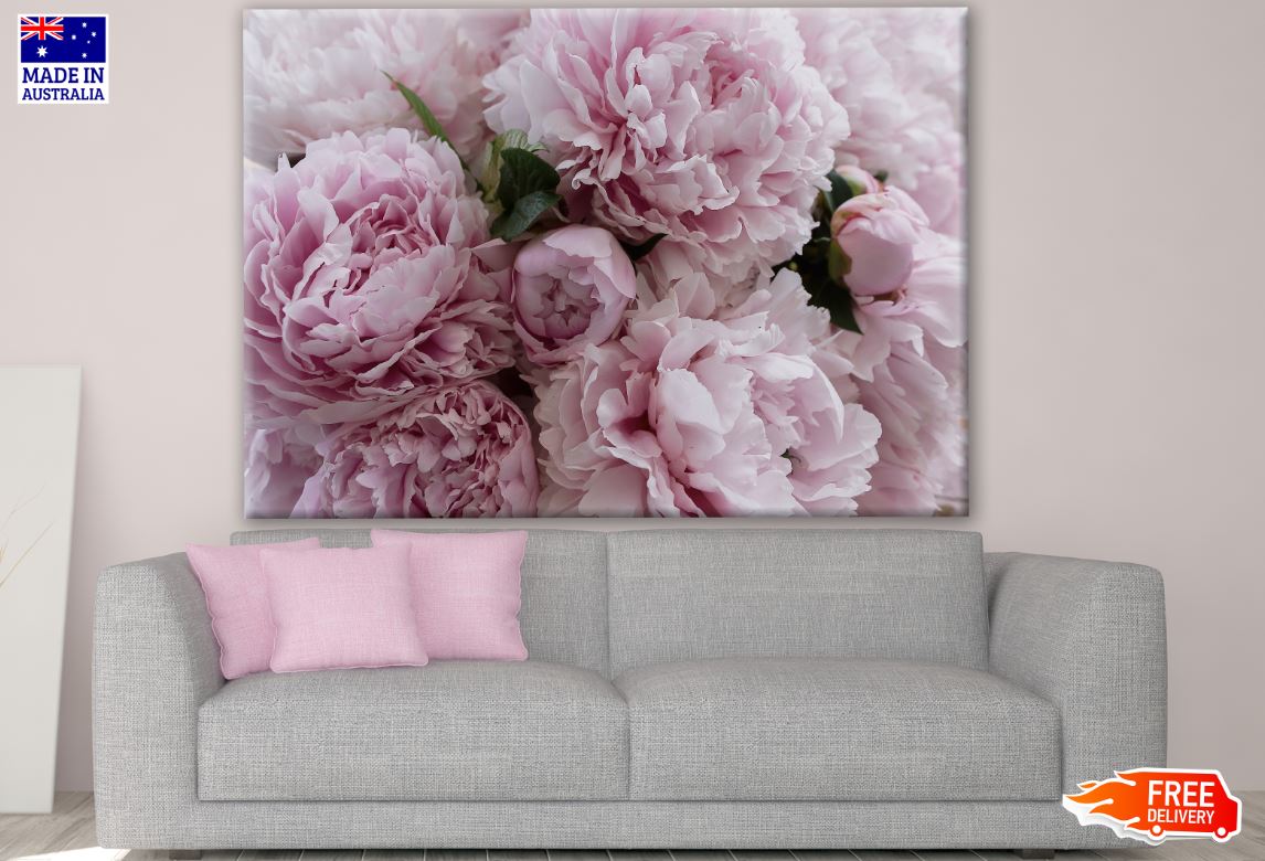 Pink Peonies Closeup Photograph Print 100% Australian Made