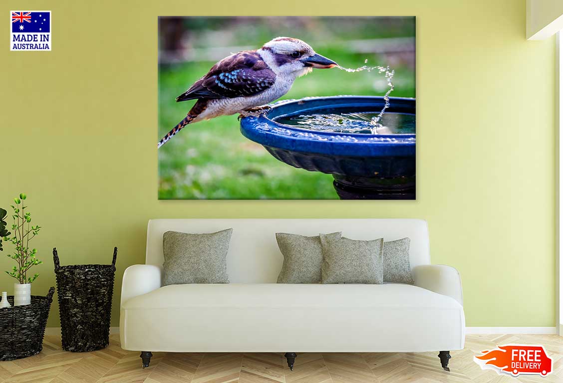 Kookaburra Drinking Water View Photograph Print 100% Australian Made