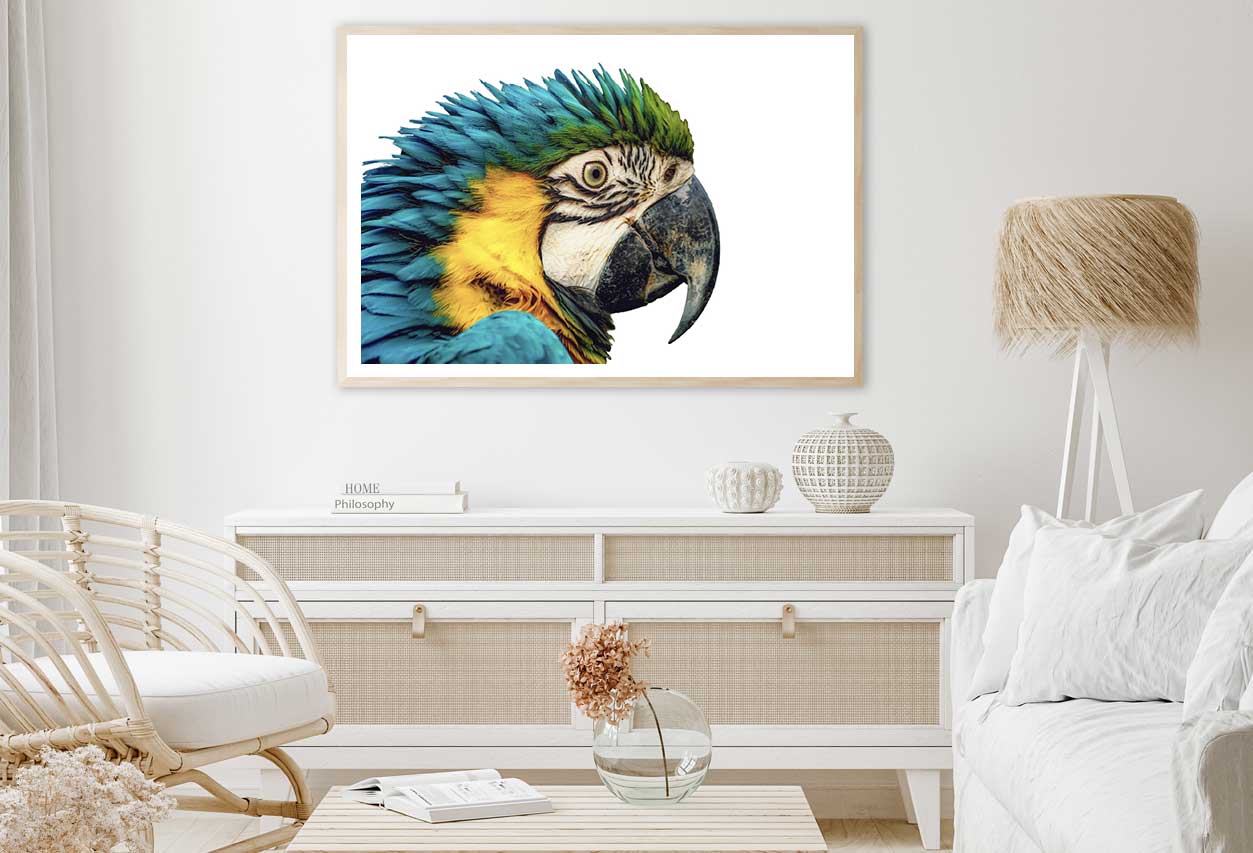 Parrot Closeup Side View Photograph Home Decor Premium Quality Poster Print Choose Your Sizes