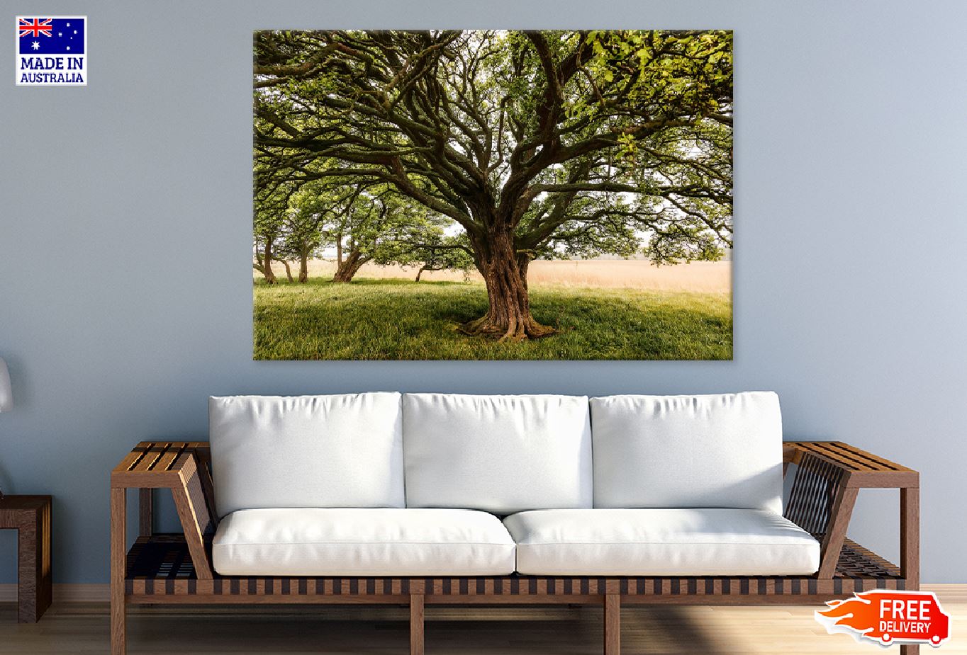 Huge Old Trees on Field Scenery Photograph Print 100% Australian Made