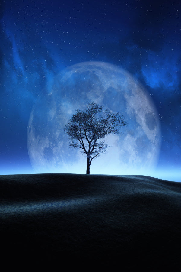 Tree Moon Night Sky Digital Art Print 100% Australian Made