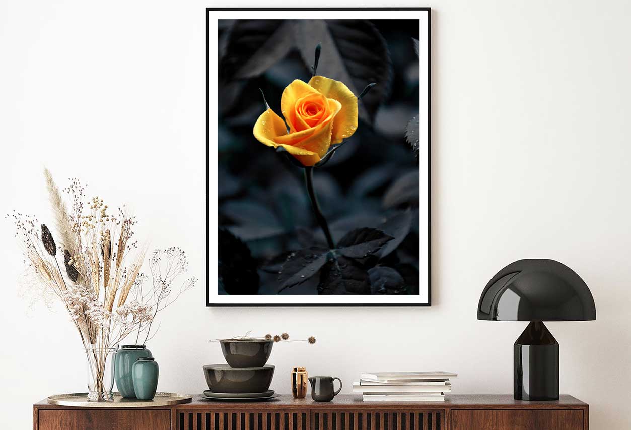 Yellow Orange Rose View on Dark View Photograph Home Decor Premium Quality Poster Print Choose Your Sizes