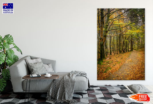 Fall Leaves with Pathway View Photograph Print 100% Australian Made