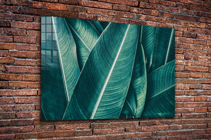 Tropical Green Leaves Print Tempered Glass Wall Art 100% Made in Australia Ready to Hang