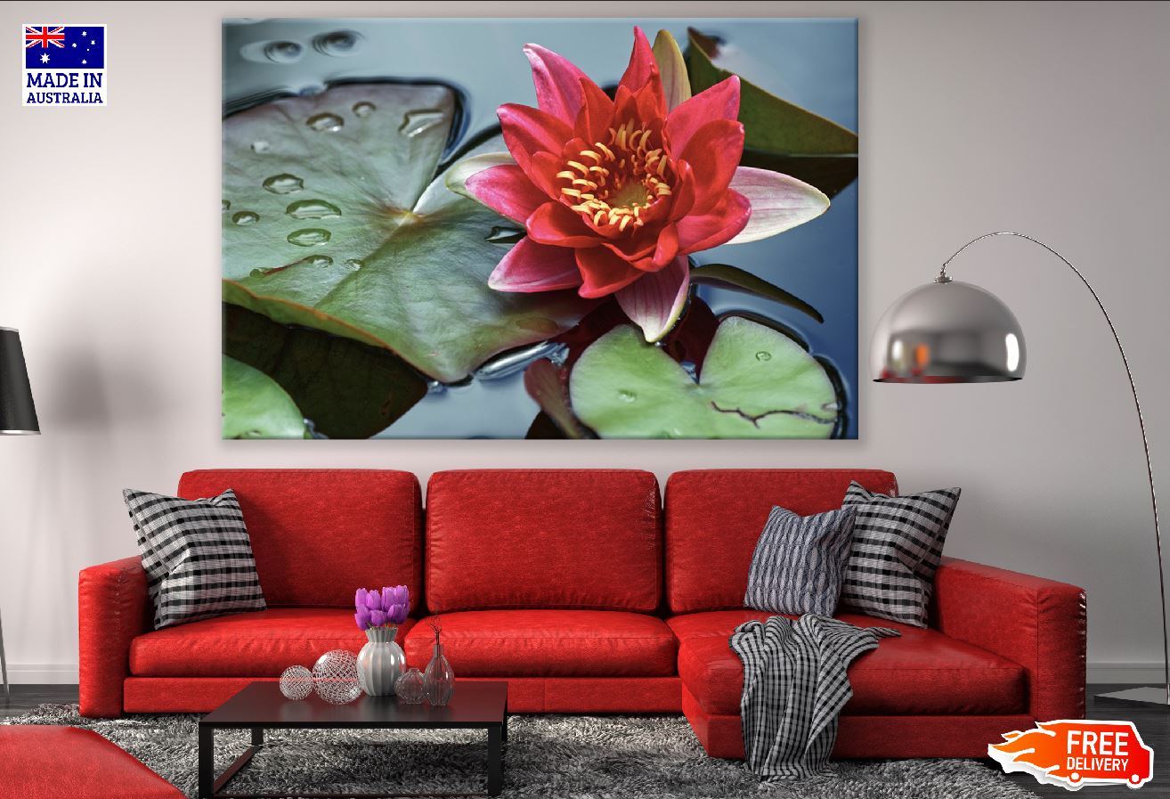 Pink Lotus Flower with Leaves Closeup Photograph Print 100% Australian Made