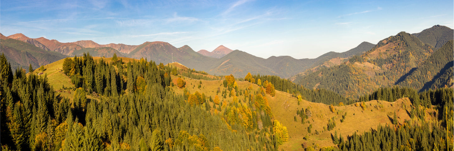 Panoramic Canvas Mountain Hills & Trees Photograph High Quality 100% Australian Made Wall Canvas Print Ready to Hang