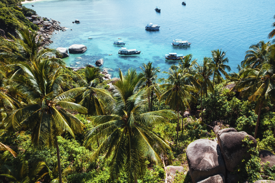 Plam Trees & Boat On Sea View Photograph Print 100% Australian Made